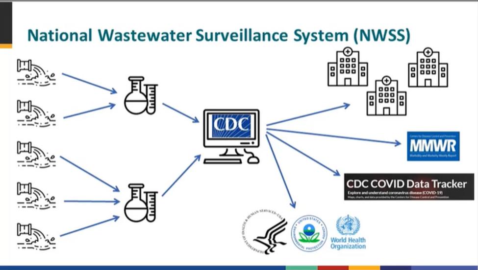 Depiction of how the national wastewater surveillance system would work
